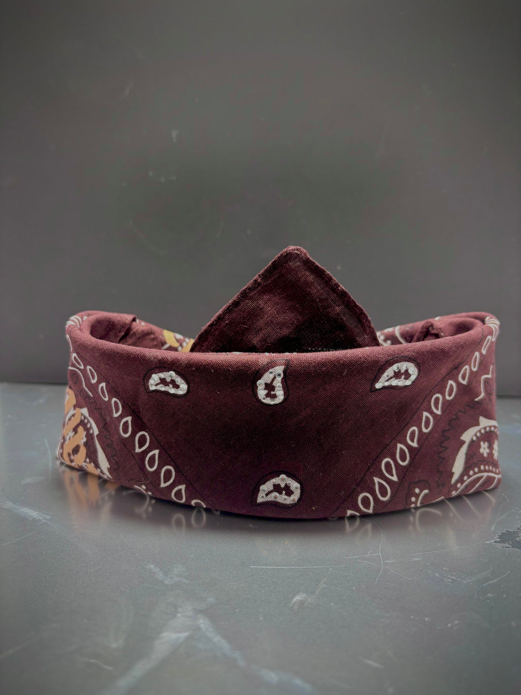 Millionaire Motion Bandana