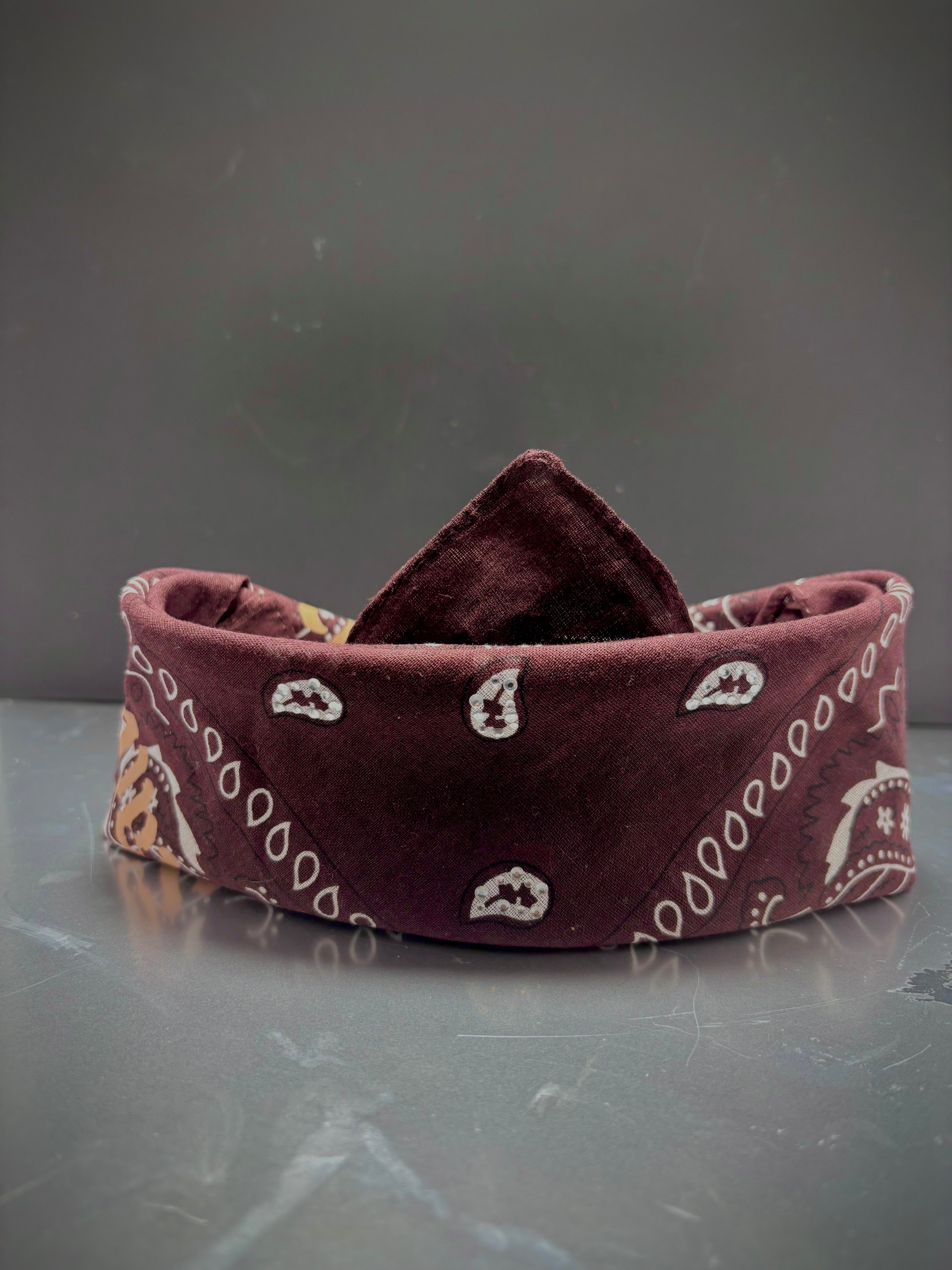 Millionaire Motion Bandana